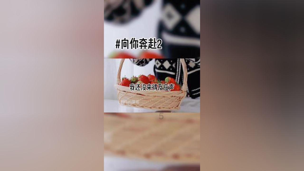 【开幕盛况】百幅书法迎新春,翰墨传情昙华林 | “笔墨昙华”书法作品迎春展